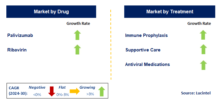 Respiratory Syncytial Virus (RSV) Therapeutic by Segment